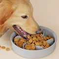 New Eco-Friendly Portable Outdoor Dog Food Utensils Universal Anti-Choking Slow Food Bowl Cats Dogs Silicone Waterproof Solid
