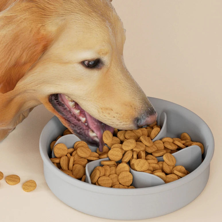 New Eco-Friendly Portable Outdoor Dog Food Utensils Universal Anti-Choking Slow Food Bowl Cats Dogs Silicone Waterproof Solid