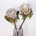 Instagram Popular Natural Dried Flowers king Protea Flower for Wedding Decoration