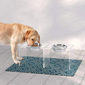 Acrylic Elevated Dog Bowl Stand 2 Single Magnetic Bonded Dog Bowl Stands Acrylic Clear Dogs and Cats Feeder 2 Pack