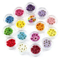 Nail DIY Accessories 17 Colors 3D Natural Real Nail Dried Flowers Stickers for Nail Fingers Decorations