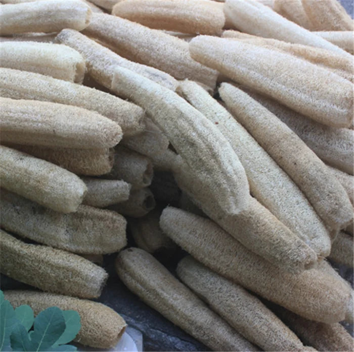 Wholesale Hot Selling Good Quality Natural Plant Cleaning Brushes Loofah Sponges