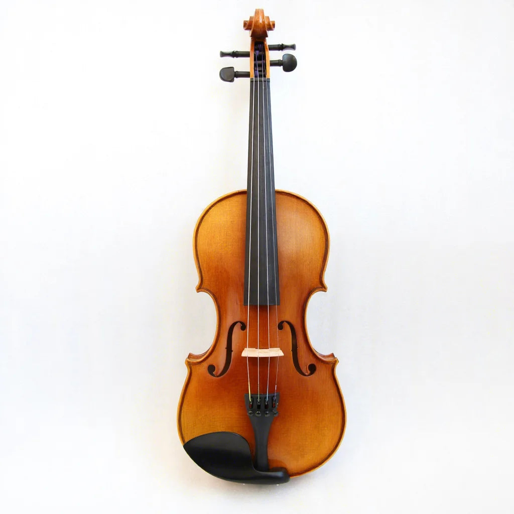 Professional Violin 4/4 Size Spruce Body Ebony Wood Accessories Handmade Carbon Fiber Tailpiece Violin on Sale for Player OEM