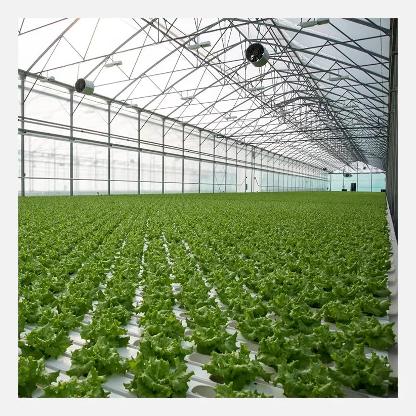 High Quality Large Single-Span Agricultural Hydroponic Rose Private Label PE Film Greenhouses Steel Frame Blackout System Sale