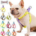 Quality  Dog Harness Walking Collar Leash Set Custom Logo Fashionable Cartoon Style Breathable Good Walking-Small Size