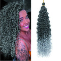Crochet Hair 14inch 18inch Gogo Curl Beach Curl Crochet Extensions for Women Gogo Curl Silver Grey