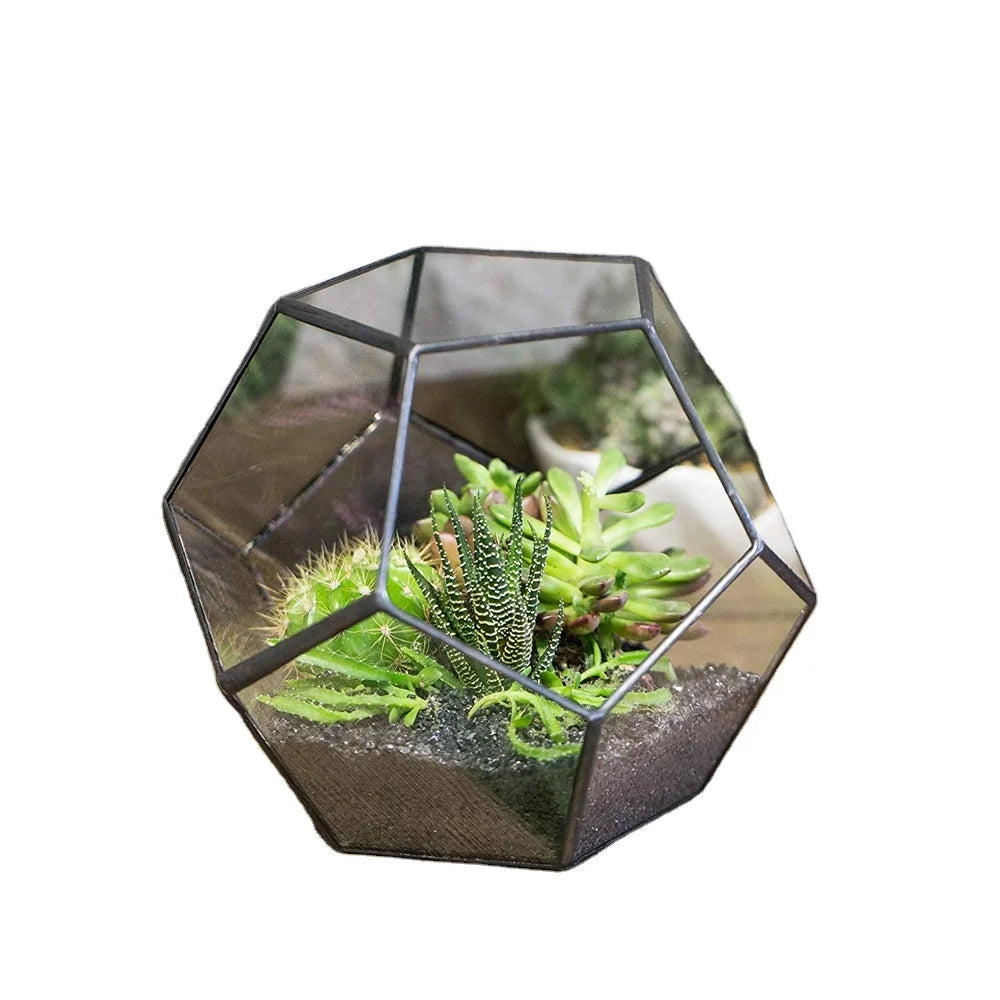 Modern Black Glass Geometric Plant Terrarium Container for Office Balcony Window Sill Garden Display Flower Pot Display Box