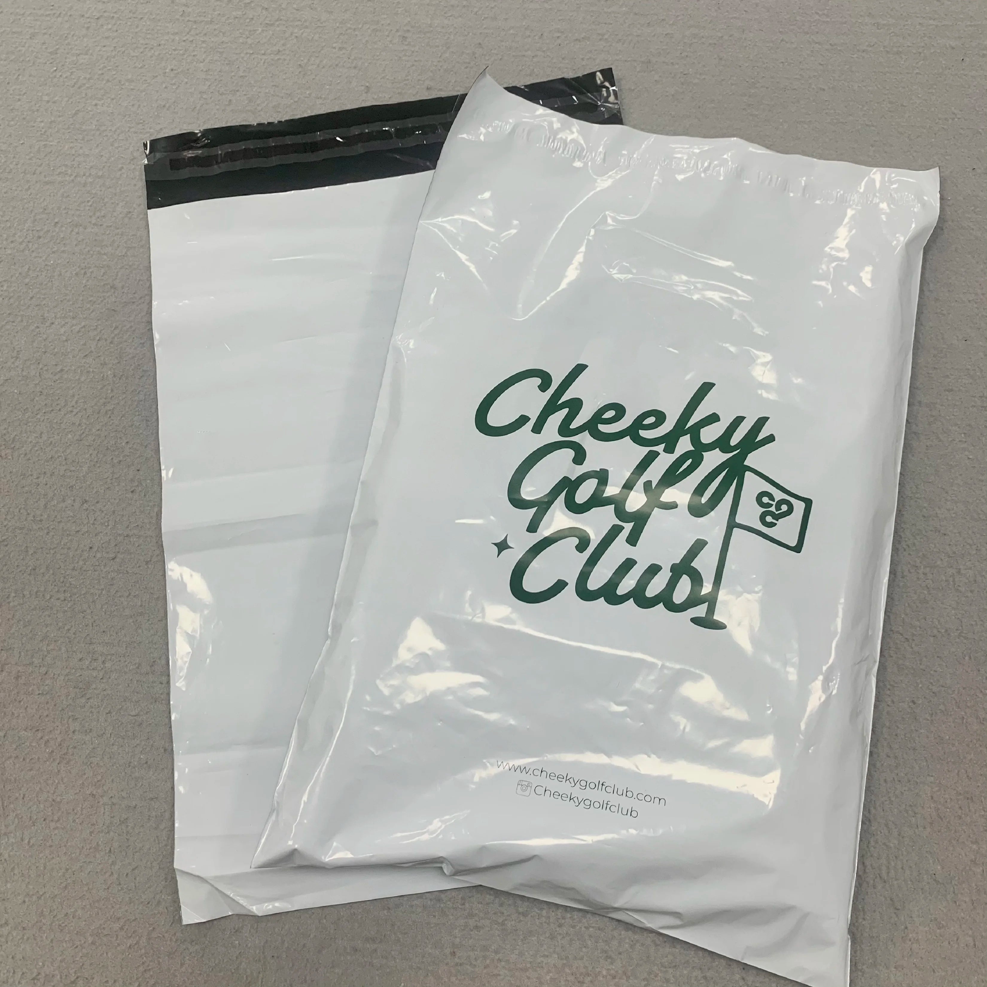 Wholesale Customized Shipping Bag  Garment Packaging Bag Custom logo Printing Plastic Mailer Bags for Clothing