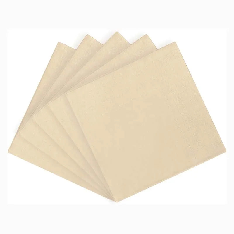 White 2 Ply Edge Embossed Dust Free 100% Virgin Wood Pulp Dinner Napkins in Bag