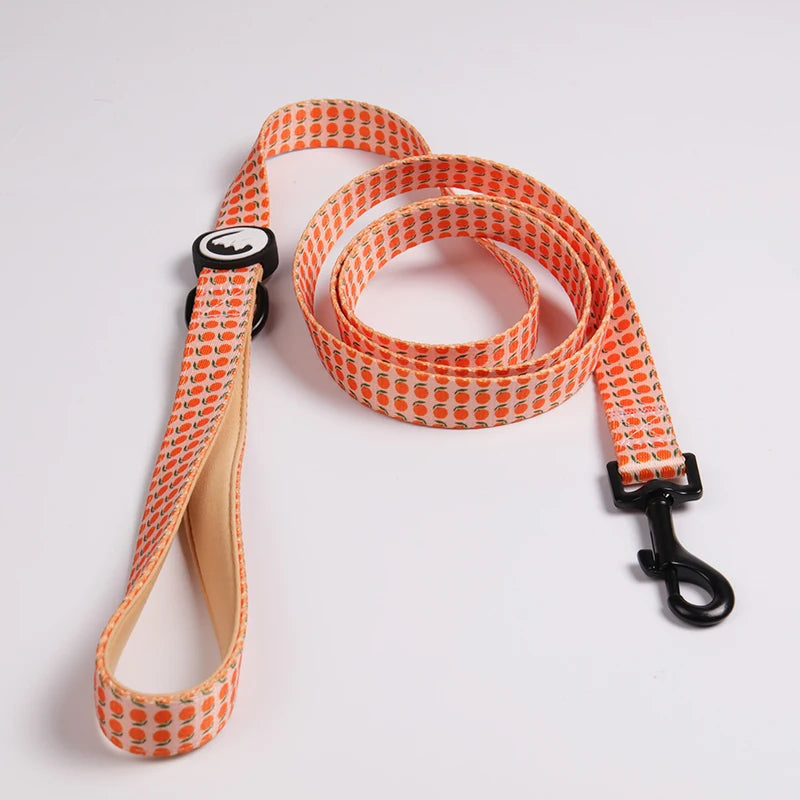 OKEYPETS Paddeng Pet Lead Neoprene Custom Design Heavy Duty Premium Quality Dog Leash