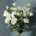 D-R025 Artificial Eternal Silk White Rose Flower Eustoma Lisianthus Red Artificial Roses Flower for Wedding Home Decor