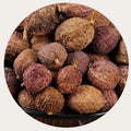 Huaran China Spice Wholesale Fructus Amomi Amomum Fruit Grain Red Dried Round Amomum Villosum Whole for Food Cooking