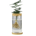 HOT Glass Hydroponic Vase Hydroponic Plant Planter Container Desktop Plant Terrarium for Propagating Centerpiece Garden Decor