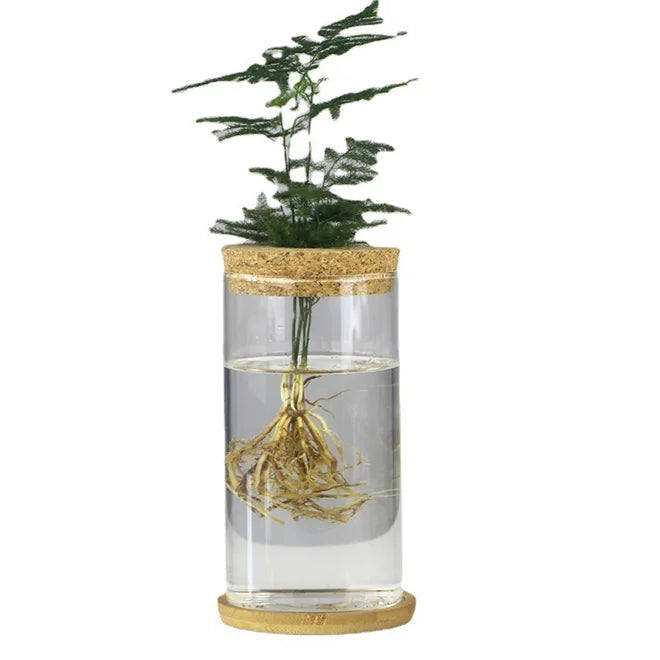HOT Glass Hydroponic Vase Hydroponic Plant Planter Container Desktop Plant Terrarium for Propagating Centerpiece Garden Decor