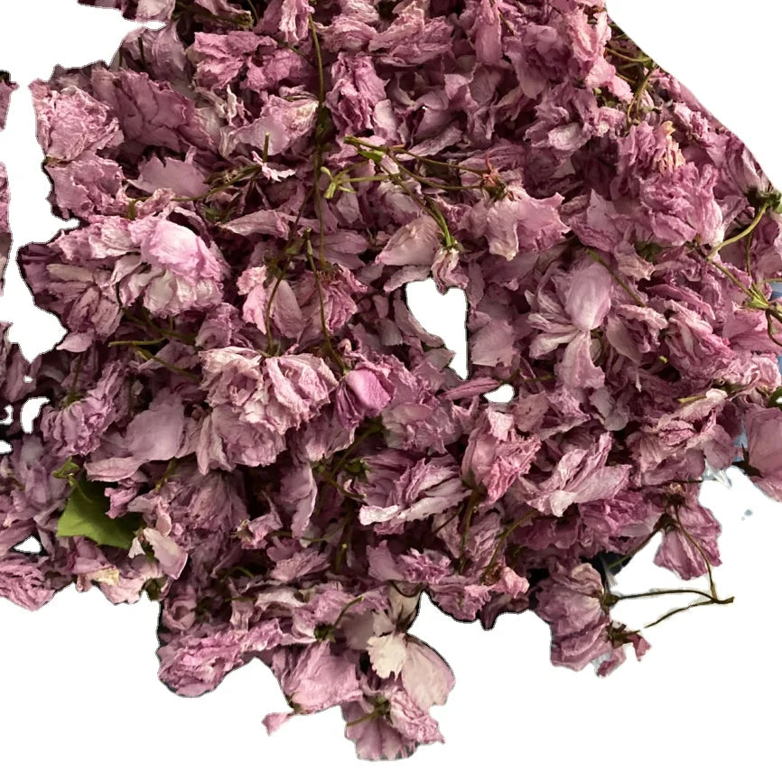 100% Pure Raw Natural Sakura Flower Petals Dried Cherry Blossom Flower for Tea