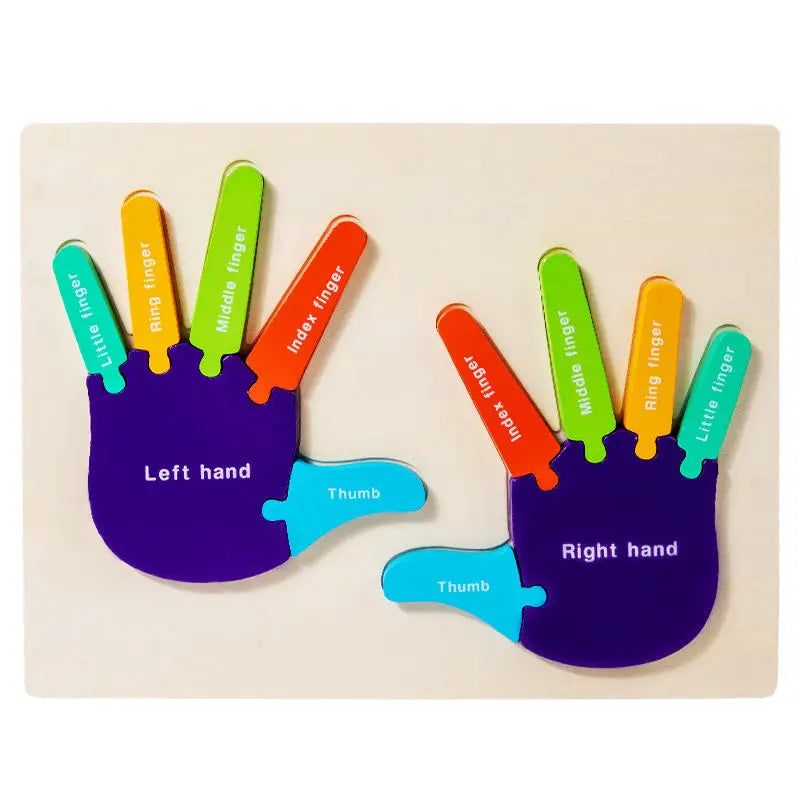 Wooden Preschool Kids Learning Body Structure Letter Number Blocks Toy Hand Feet 3D Puzzles Early Educational Toys for Kids