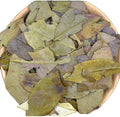 Premium Natural Oriental Dried Ilex Chinensis Leaves Purple Holly Leaf for Sale