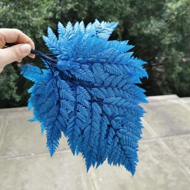 Christmas Leaf Wedding Decor 10 Pcs Soft Pole Fiddlehead Ferns Dry Natural Fresh Preserved Plant Eternal Arachniodes Leaves