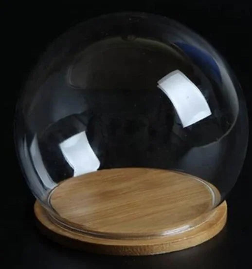 Micro-Landscape Ecological Opening Side Hole Borosilicate Glass Globe Ball Baptism Snow Globe Handmade Carved Eco-friendly Home