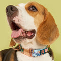 MIDEPET Luxury Pet Dog Collar Customizable Print Quick Release Metal Buckles Wholesale Durable Para Pitbull Collars for Big Dogs