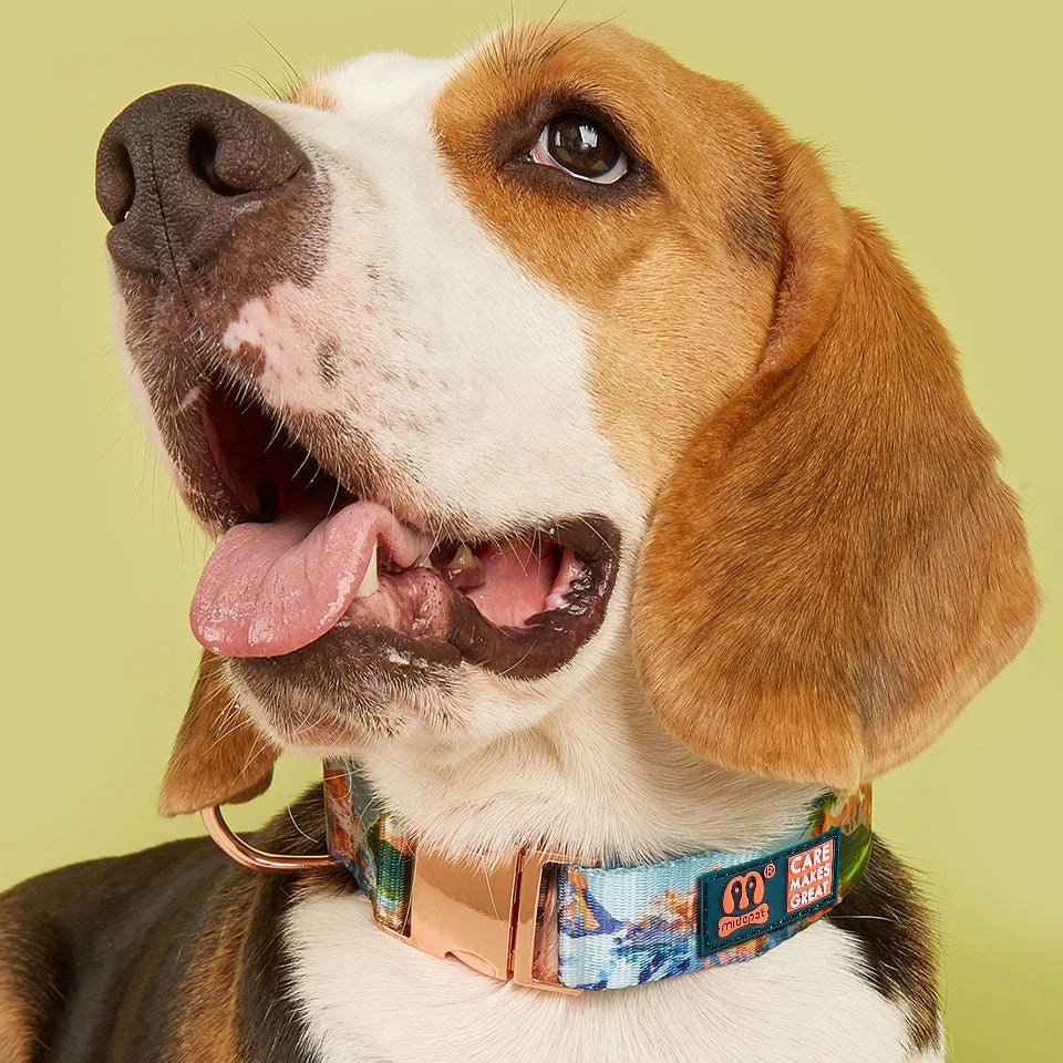 MIDEPET Luxury Pet Dog Collar Customizable Print Quick Release Metal Buckles Wholesale Durable Para Pitbull Collars for Big Dogs
