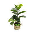 Dongguan Factory Cheap Indoor and Outdoor Decorative Greenery Leaves Ficus Tree Artificial Plant Ficus Fiddle Leaf Fig Tree