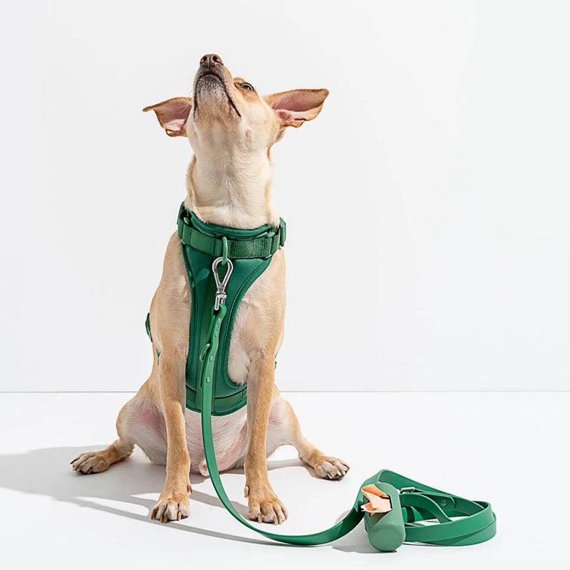 Custom Design Waterproof PVC Multiuse Big Long Rope Show Running Lead Pet Dog Poop Bag Holder PVC Harness Leash Collar Set
