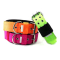 Solid Color 2 Inch Neoprene Padded Dog Collar Pin Buckles Two Durable Training Nylon Designer Heavy Duty Tactical Dog Collar