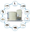 QihangRAS Ras Aquaponics Fish Farming System PVC/PP/SS304 Material 10M3 Capacity for Bass Tilapia Aquaculture Equipment