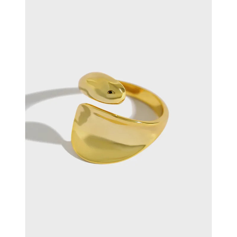 High Quality Trendy Exaggerated Design Jewelry S925 Sterling Silver Solid Heavy Rings for Women JT314