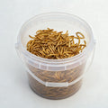 100% Natural Animal Protein Dried Bread Mealworm