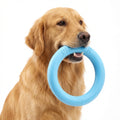 Durable Floating Ring Dog Chew Toy for Outdoor Water Fetch Play Toy for Aggressive Chewers 19cm