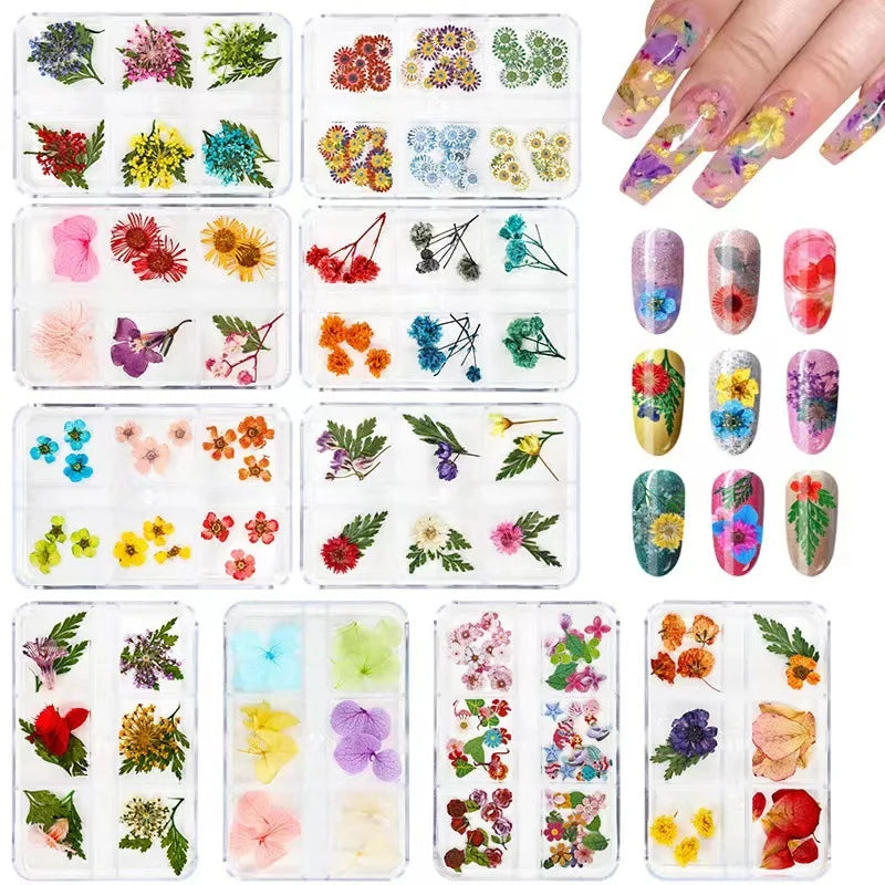 6 Grids Nail Flowers Multi Colors Natural Pressed Dry Flower Decoration Mini Nail Art Accessories