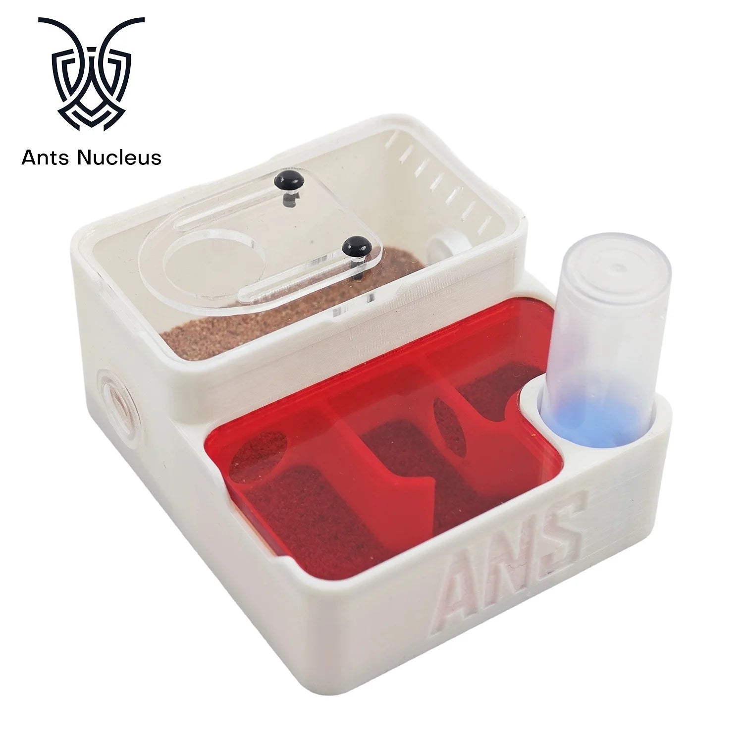Flat Ant Nest Bow Back  Harvest Fierce Ant Suitable for Ant Workshop