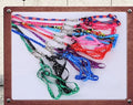 Pet Cat  Rabbit Design Leash Printed Chest Strap Dog Leash Retractable Dog Leash