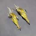 4cm Mini Shrimp Fishing Lures Luminous Plastic Soft Shrimp Lure With Fishy Smell Bionic Fishing Shrimp Lure