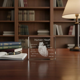3D Laser Engraving Crystal Heart Model Gifts for Medical Doctors Accessories Custom Logo K9 Crystal Cube and Block Ornaments