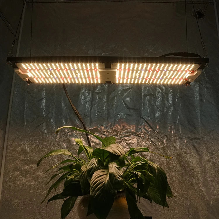 240W Kingbrite Samsung LM301H Mix XP-E2 660nm with Uv Ir Seperate Control Led Grow Light for Indoor Plant