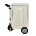 Alilotop 20 Inch Travel Suitcase Factory Direct Lightweight Portable Fashionable Space-Saving Folding Design Latest Release