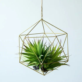 Classic Copper Air Plant Hangers and Wall Vase Displays
