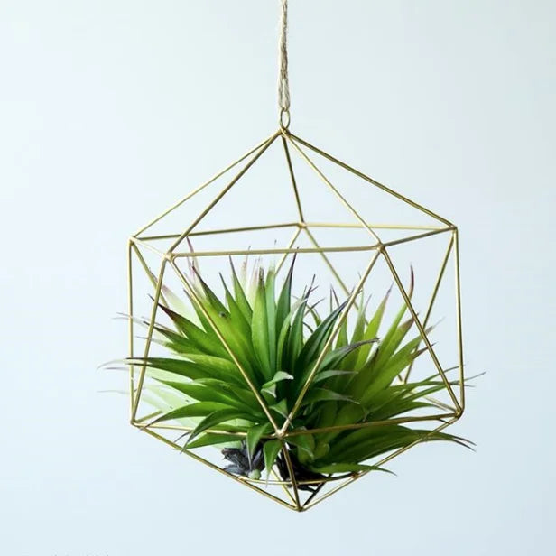 Classic Copper Air Plant Hangers and Wall Vase Displays