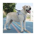 Luxury Wholesale Pet Supplies Custom Waterproof Leather/Nylon/Polyester Rubber Reflective Solid Adjustable Dog Dog Walking