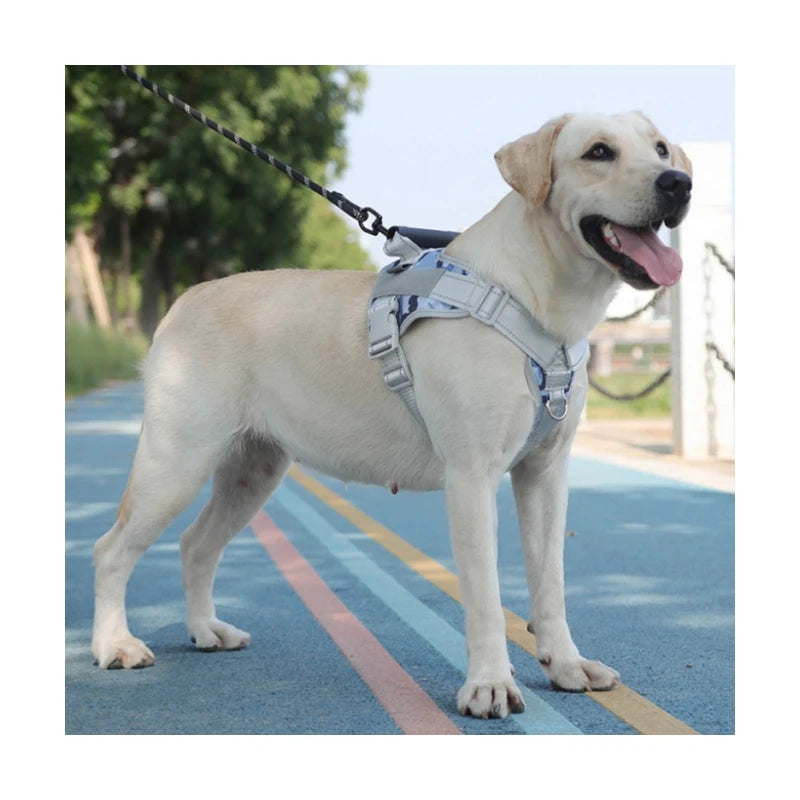Luxury Wholesale Pet Supplies Custom Waterproof Leather/Nylon/Polyester Rubber Reflective Solid Adjustable Dog Dog Walking