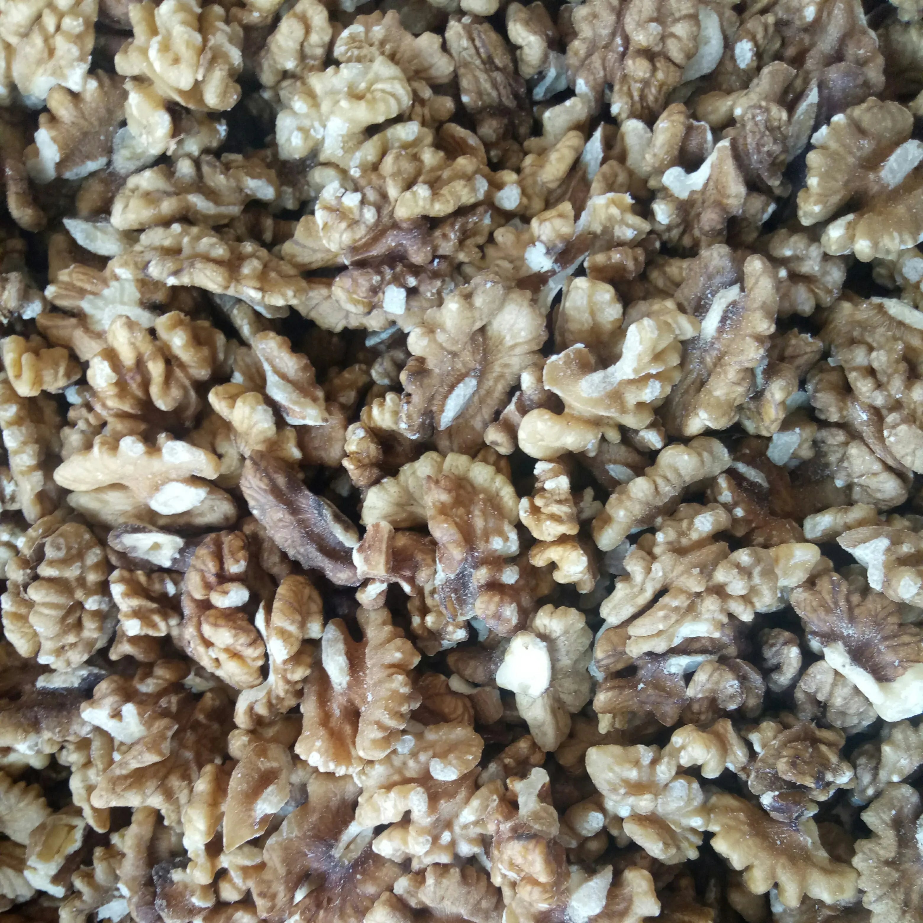 High Quality Bulk Juglans Nut Meats Dried New Juglans Regia Fruits Meat for Food