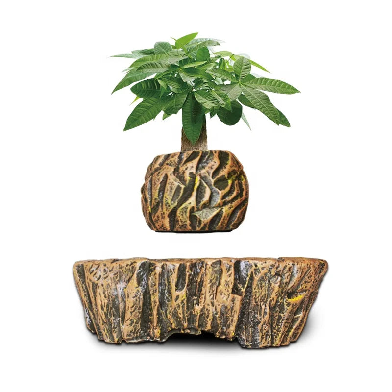 HCNT Magnetic Levitating Bonsai Floating Flower Pot Air Plant Holder Electric Powered Home/Office Garden Decoration Creative MegaBDM