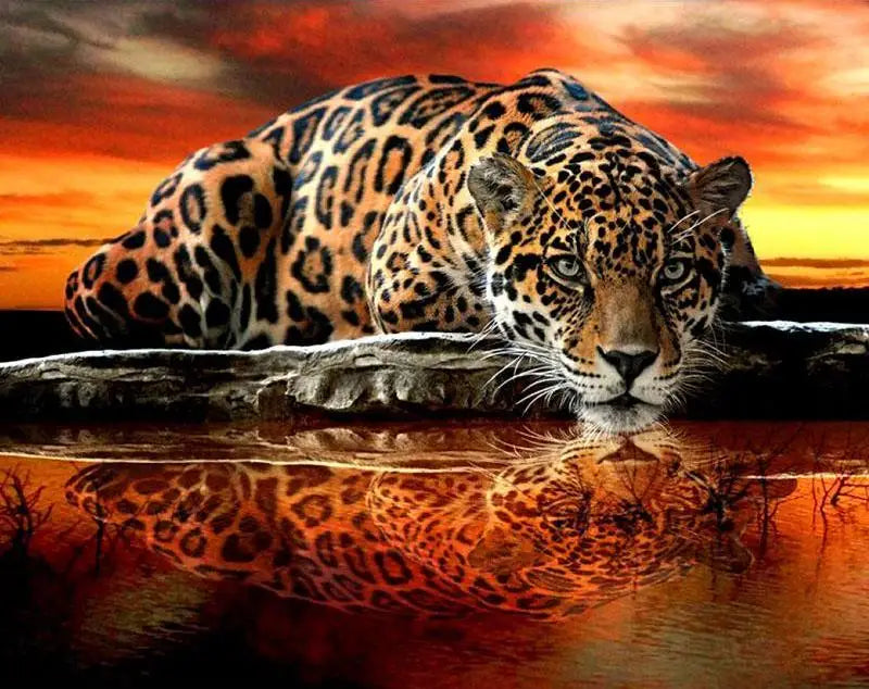 Full Square/Round Drill 5D DIY Wholesale Diamond Painting Leopard Diamond Embroidery Cross Stitch Rhinestone Mosaic Painting MegaBDM