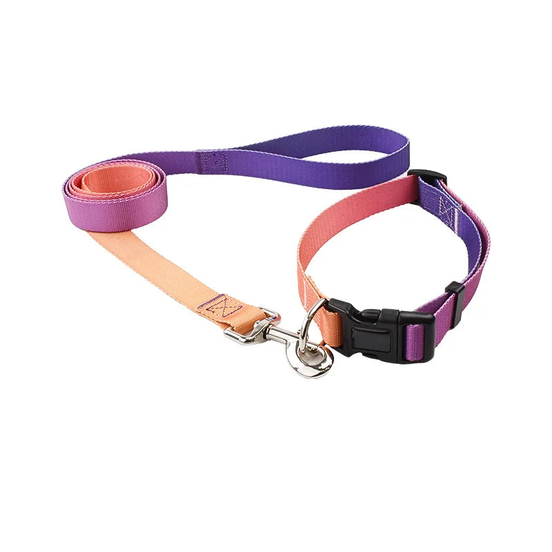 Wholesale Wear-resistant Solid Color Nylon Webbing Pet Collar