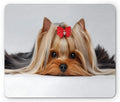 Rectangular 18*22*0.3cm Printable Sublimation Mouse Pad for Office/Business/School & Wedding Use