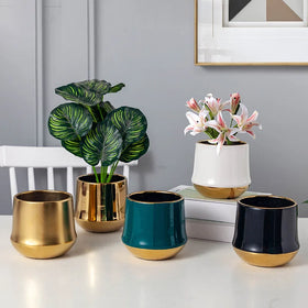 MSH Noble Luxury Ceramic Flower Pot Green Dill Cactus Pot with Golden Tray Traditional Tabletop Vase Design