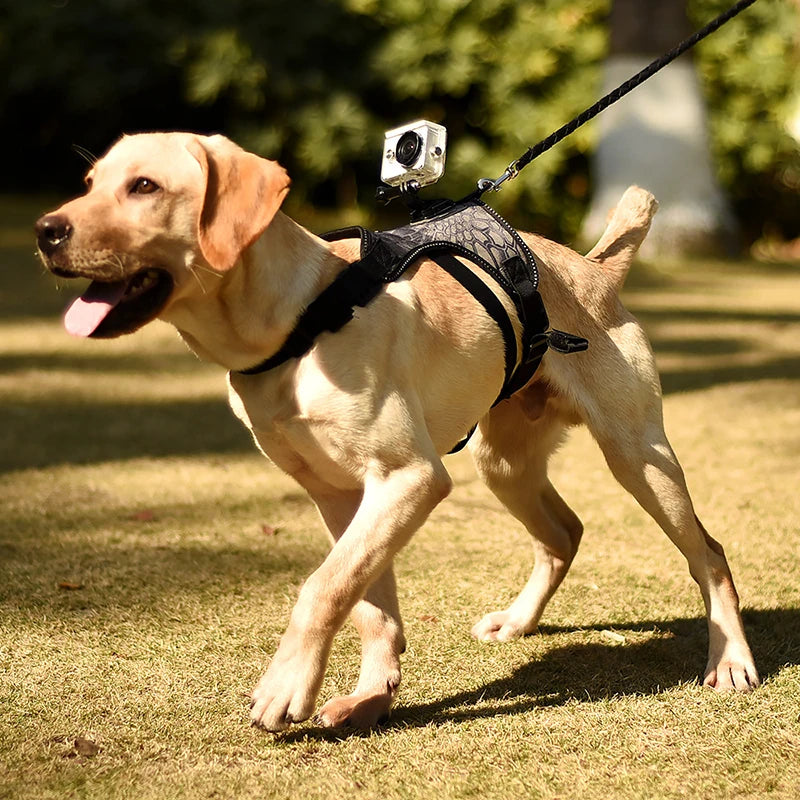 Adjustable Dog Harness Vest Quick Release Durable Polyester Sports Camera Mount for Outdoor Gopro Pet Sports Camera Fixed